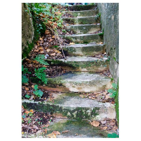 PHOTO84, CLUB, 84 , LUBERON